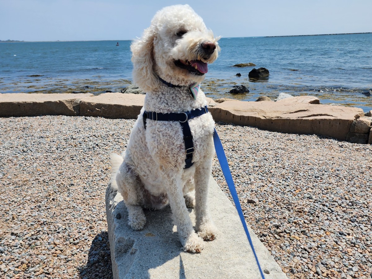 A morning in Stonington,&nbsp;Connecticut