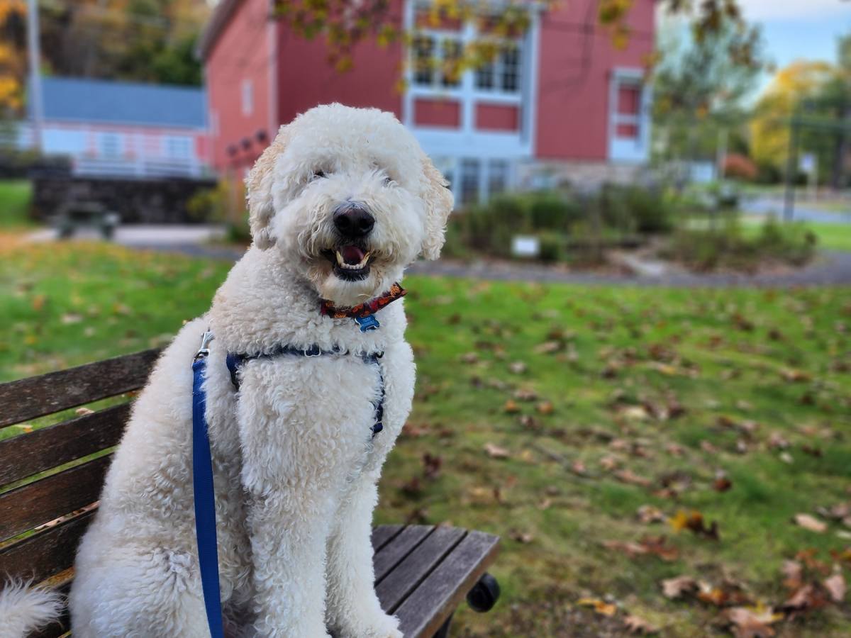 Exploring the Blackstone River Valley in Northern Rhode Island and Southern&nbsp;Massachusetts