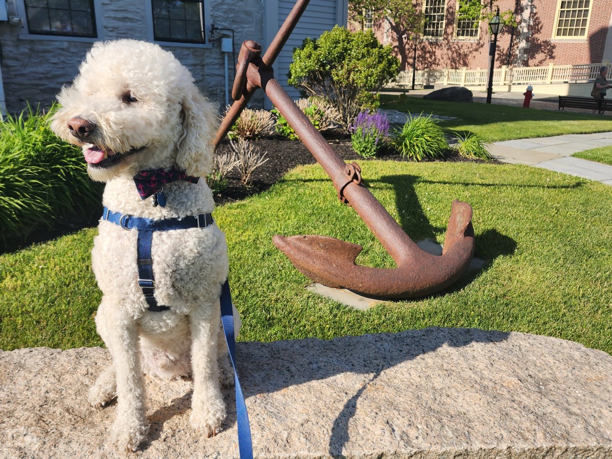 Day Trip to Buzzards Bay & New Bedford,&nbsp;MA